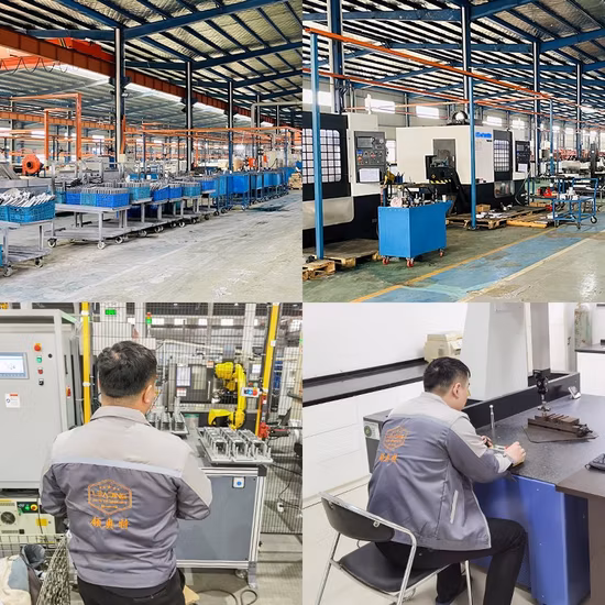 Spandex Nylon Body Shaping Suits Women Surfing Rash Guard