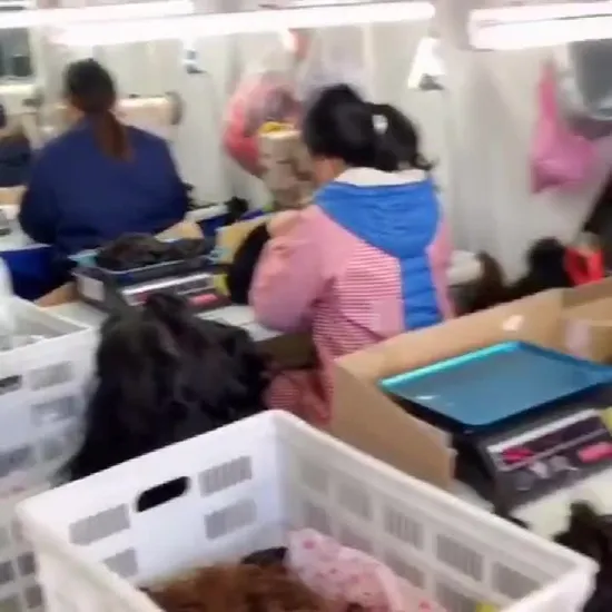 Hot Sales Tshirts Long Sleeve Upf50+ Rashguard for Women Diving Rush Guard 