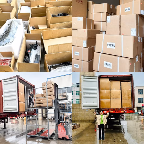 Spandex Nylon Body Shaping Suits Women Surfing Rash Guard