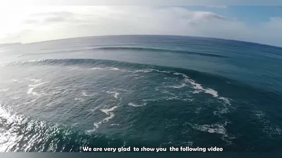 High Quality Women Long Sleeve Gym Yoga Outdoor Walking Biking Universal Customized Quick Dry Upf 50+ Rash Guard 